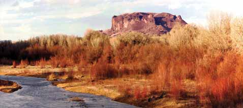 The Rio Grande Flowing Past Black Mesa